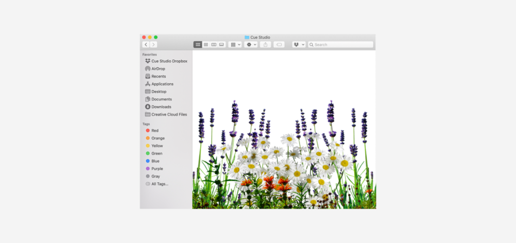 Flower illustration made in collage technique framed in a web browser view