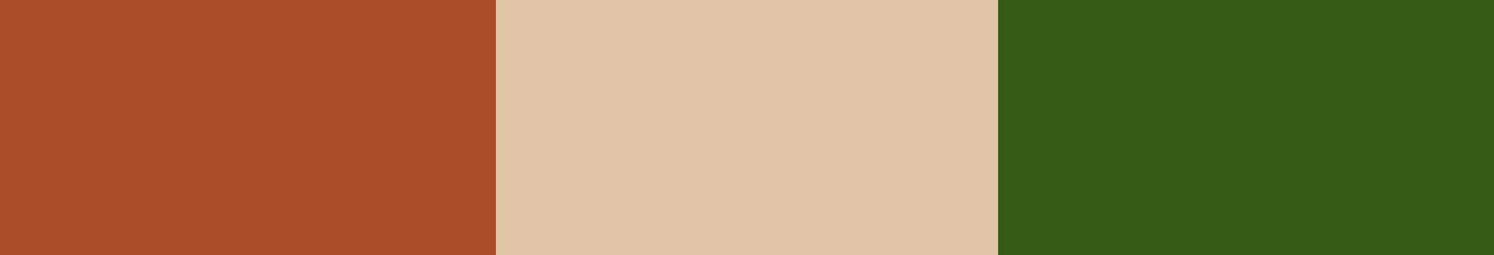 Metropolitan Timber secondary color palette: Terra Cotta, Sand, and Forest Green
